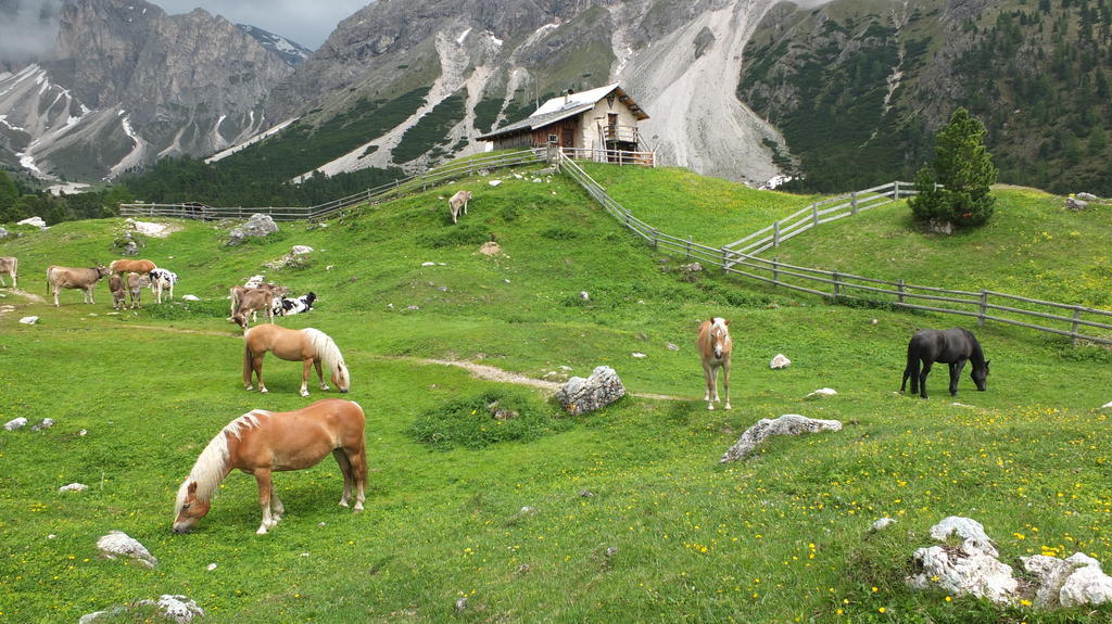 Garni Le Chalet Santa Cristina Val Gardena Екстериор снимка