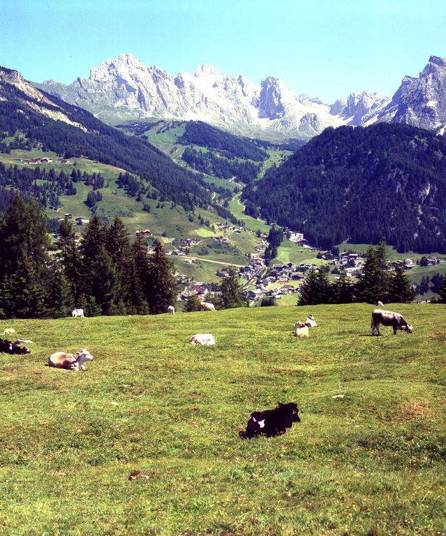 Garni Le Chalet Santa Cristina Val Gardena Екстериор снимка
