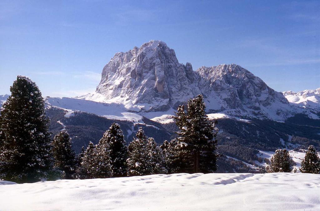 Garni Le Chalet Santa Cristina Val Gardena Екстериор снимка