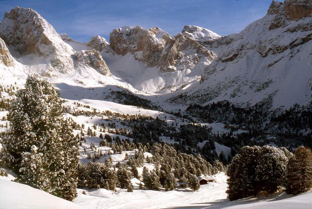 Garni Le Chalet Santa Cristina Val Gardena Екстериор снимка