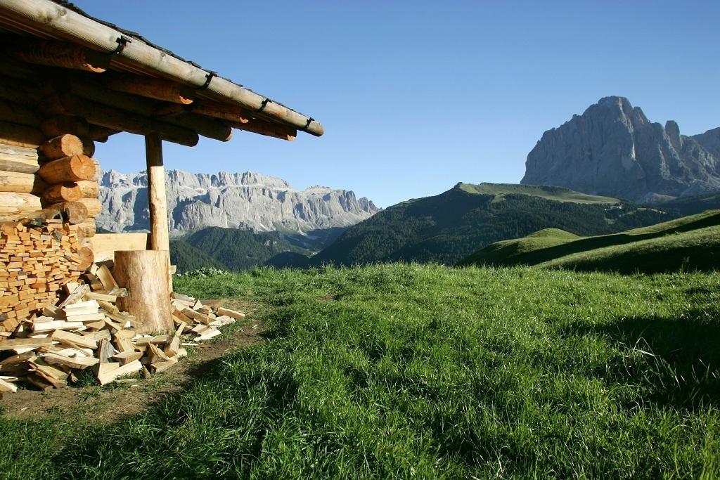Garni Le Chalet Santa Cristina Val Gardena Екстериор снимка
